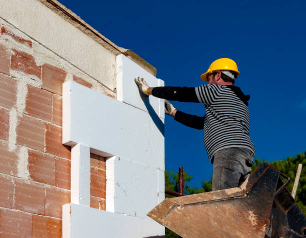 Best Insulation Inspection Services  in Albers, IL
