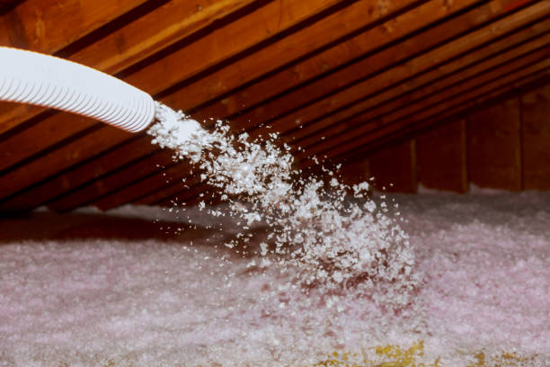 Best Residential Insulation Services  in Albers, IL