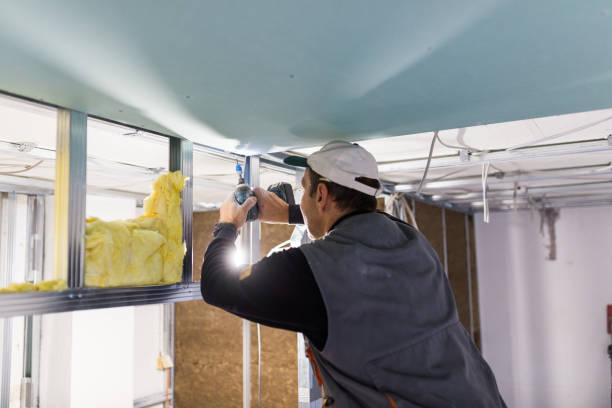 Best Fiberglass Insulation  in Albers, IL