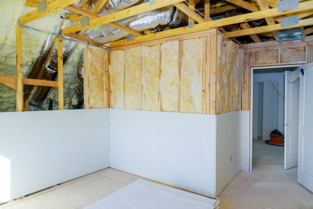 Best Attic Insulation Installation  in Albers, IL