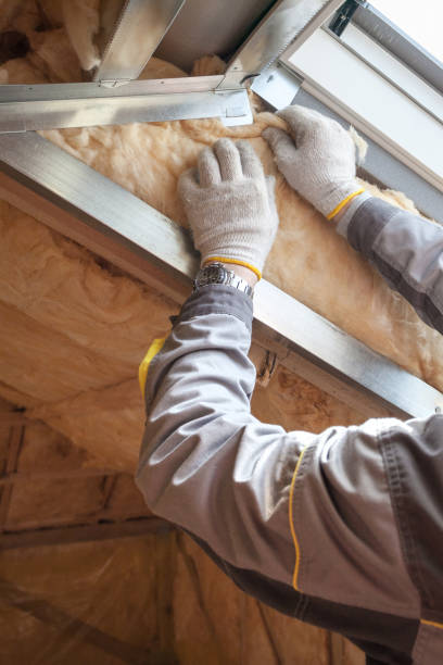 Best Garage Insulation Installation  in Albers, IL