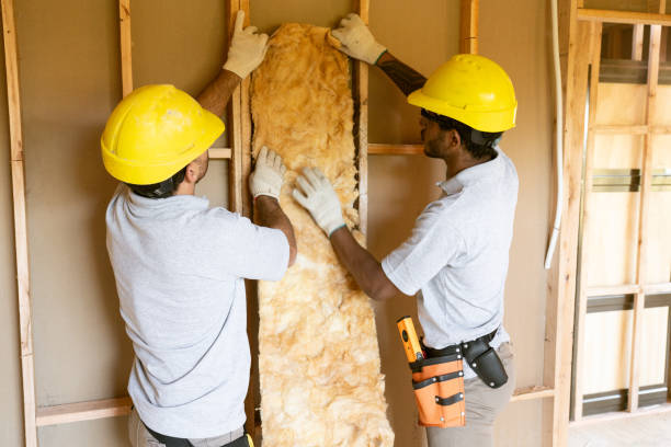 Best Spray Foam Insulation  in Albers, IL