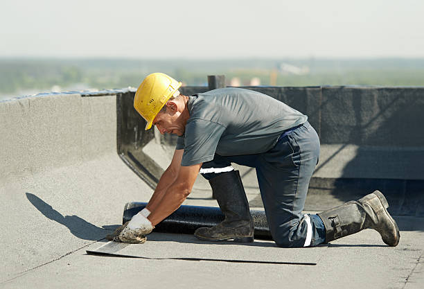 Best Insulation Inspection Services  in Albers, IL