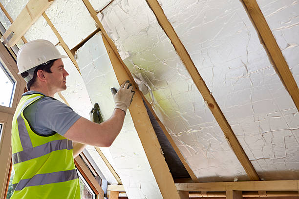 Best Garage Insulation Installation  in Albers, IL